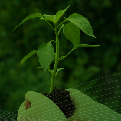 Sustainability at TEL
